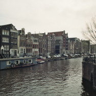 imm012_11A